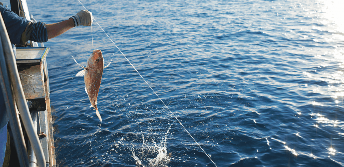 A person pulling a fish out of the ocean on a fishing line