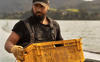 Aquaculture farmer holding basket of shellfish<br />

