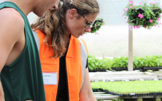 Two people pointing at trays of seedlings.