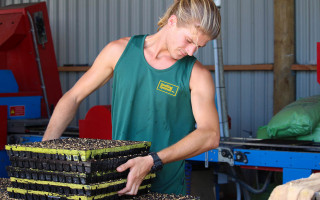 Man carrying a pile of seed containers