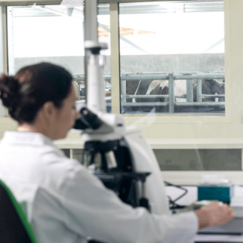 A woman in a lab coat looks into a microscope