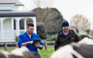 Two men stand in front of some dairy cows, one man holds a tablet