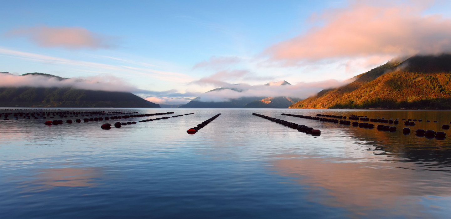 A calm sea with mountains surrounding it, buoys are arranged in lines in the water