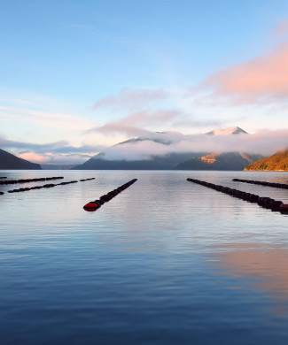 A calm sea with mountains surrounding it, buoys are arranged in lines in the water